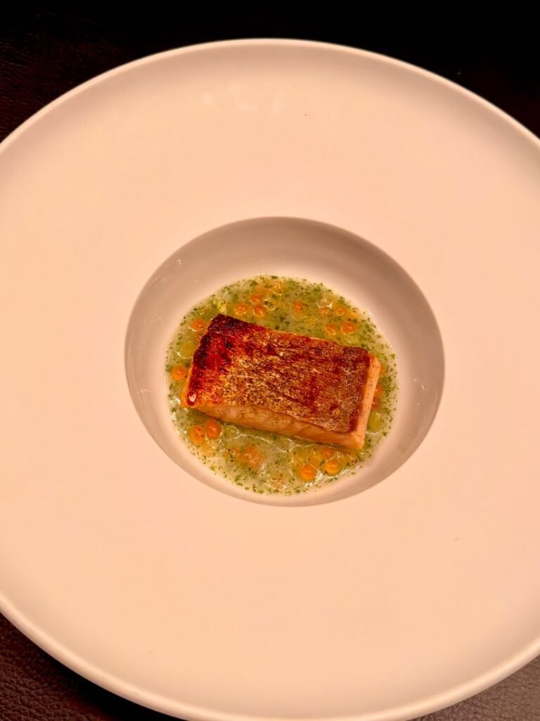 Salmon